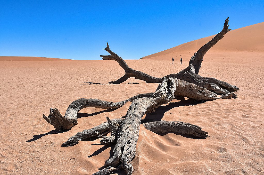 Namib desert di Aymar Elisa 1° Premio Tema Paesaggio.JPG